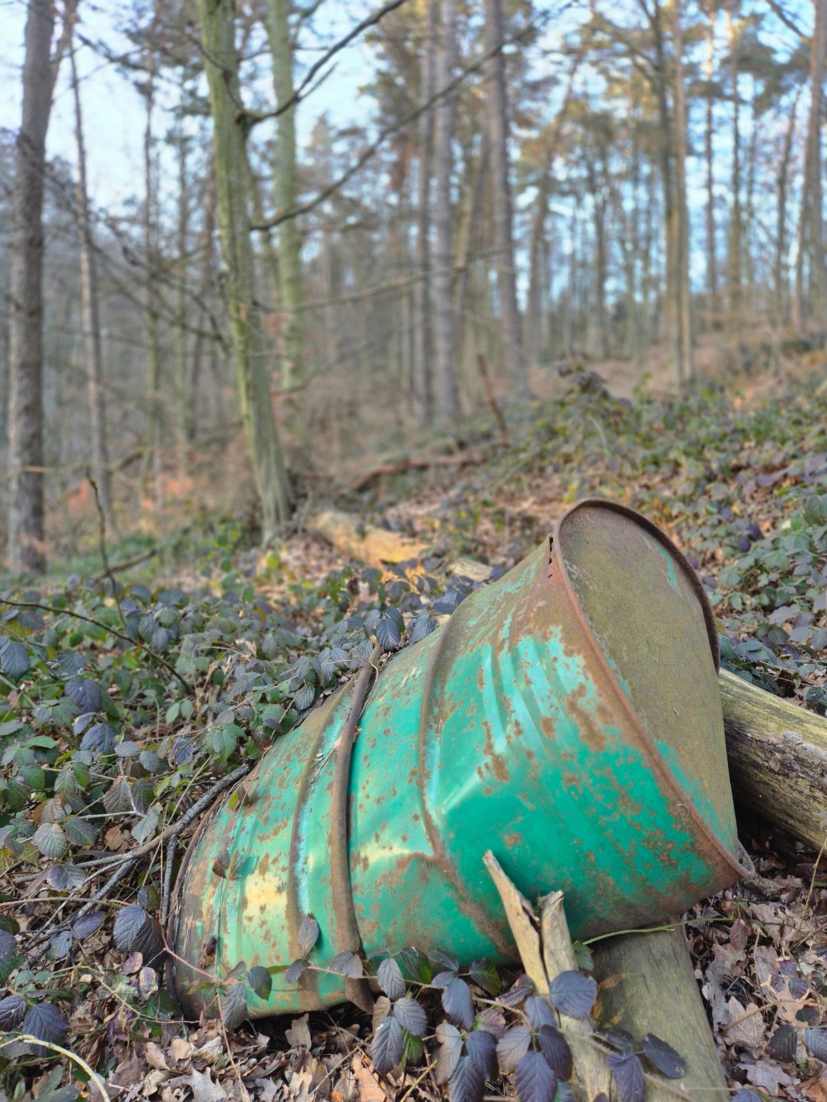 Waldtausch.jpeg