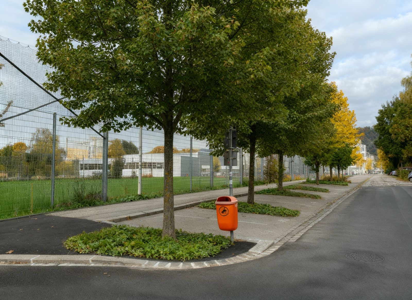 Aubrunnerweg mit Allee2.jpeg