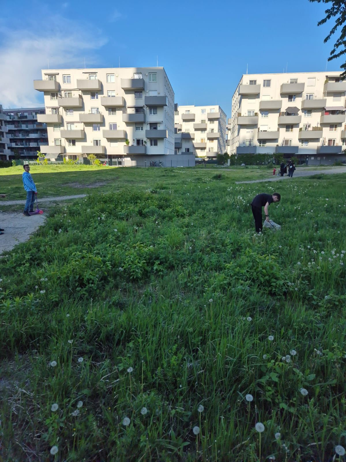 Lenaupark4.jpeg