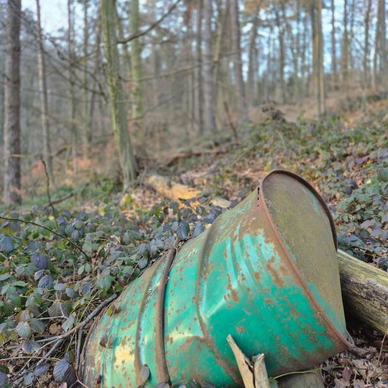 Waldtausch.jpeg
