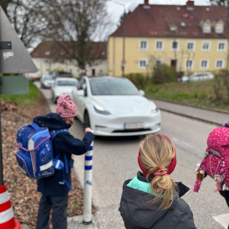 Pachmayr6.jpeg