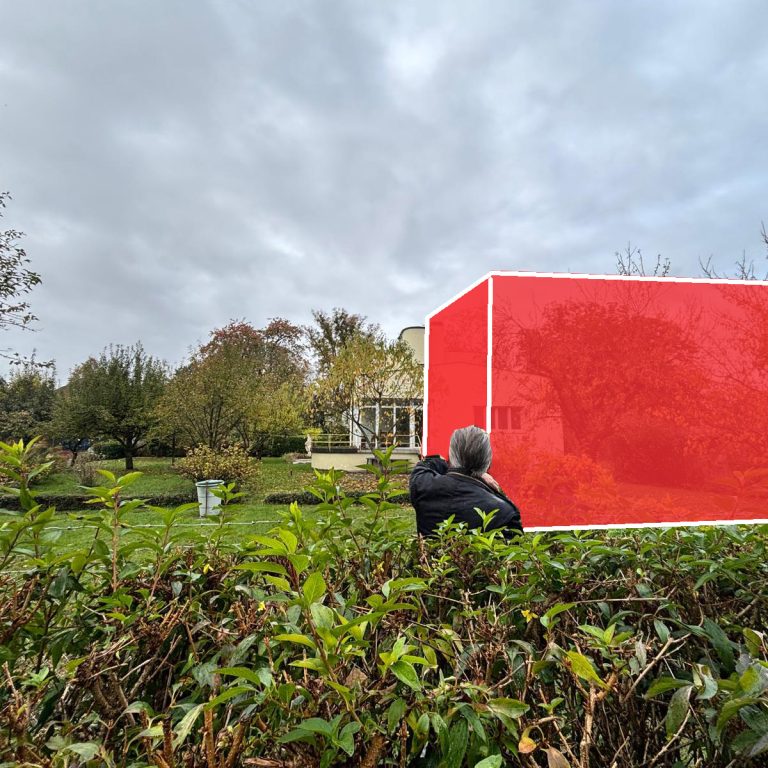 LinzPLUS_Potocnik_Villa Raukamp_27_nein zu neuen Baufenstern